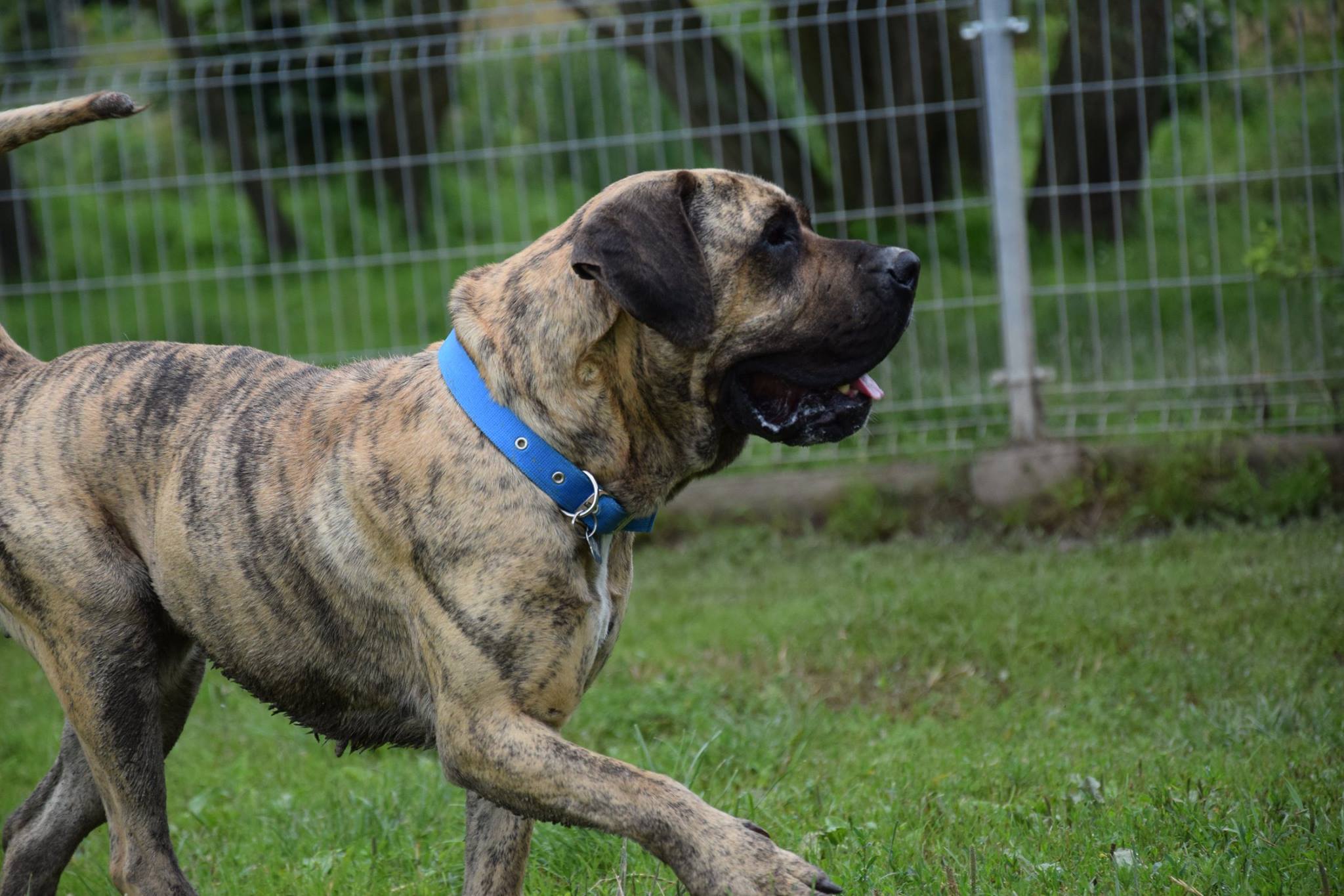 Nowe wieści od naszej Didi. 